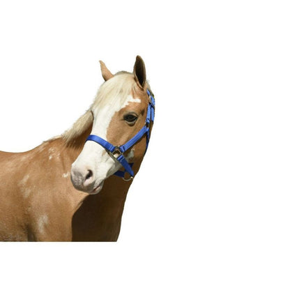 Nylon Halter Cob Navy