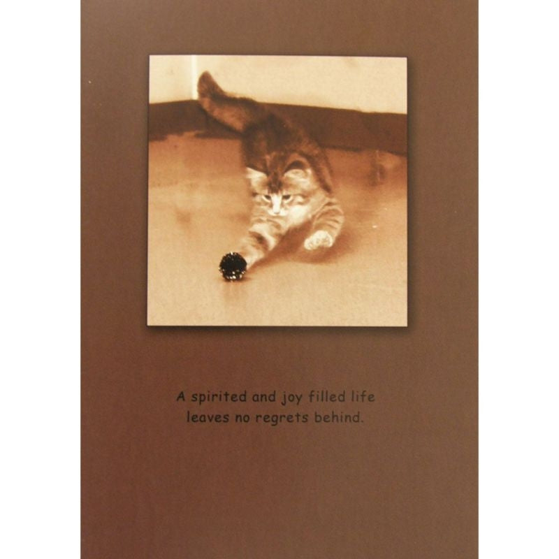 Sympathy Cat A Spirited/Joy Filled Life Cards 6 Pk
