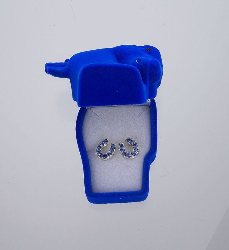 Sparkly Horsehoe Earrings Blue