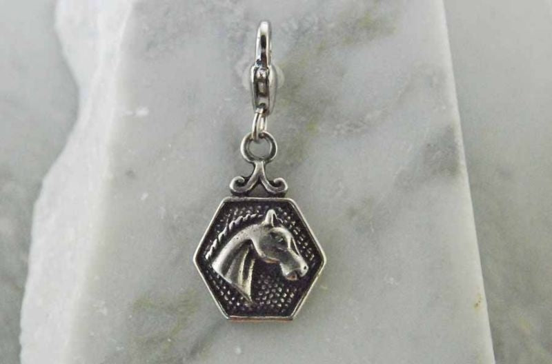 Barbary Head In Hexagon Antique Silver Finish