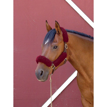 Toklat Coolback Noseband Halter Tube SetBrn