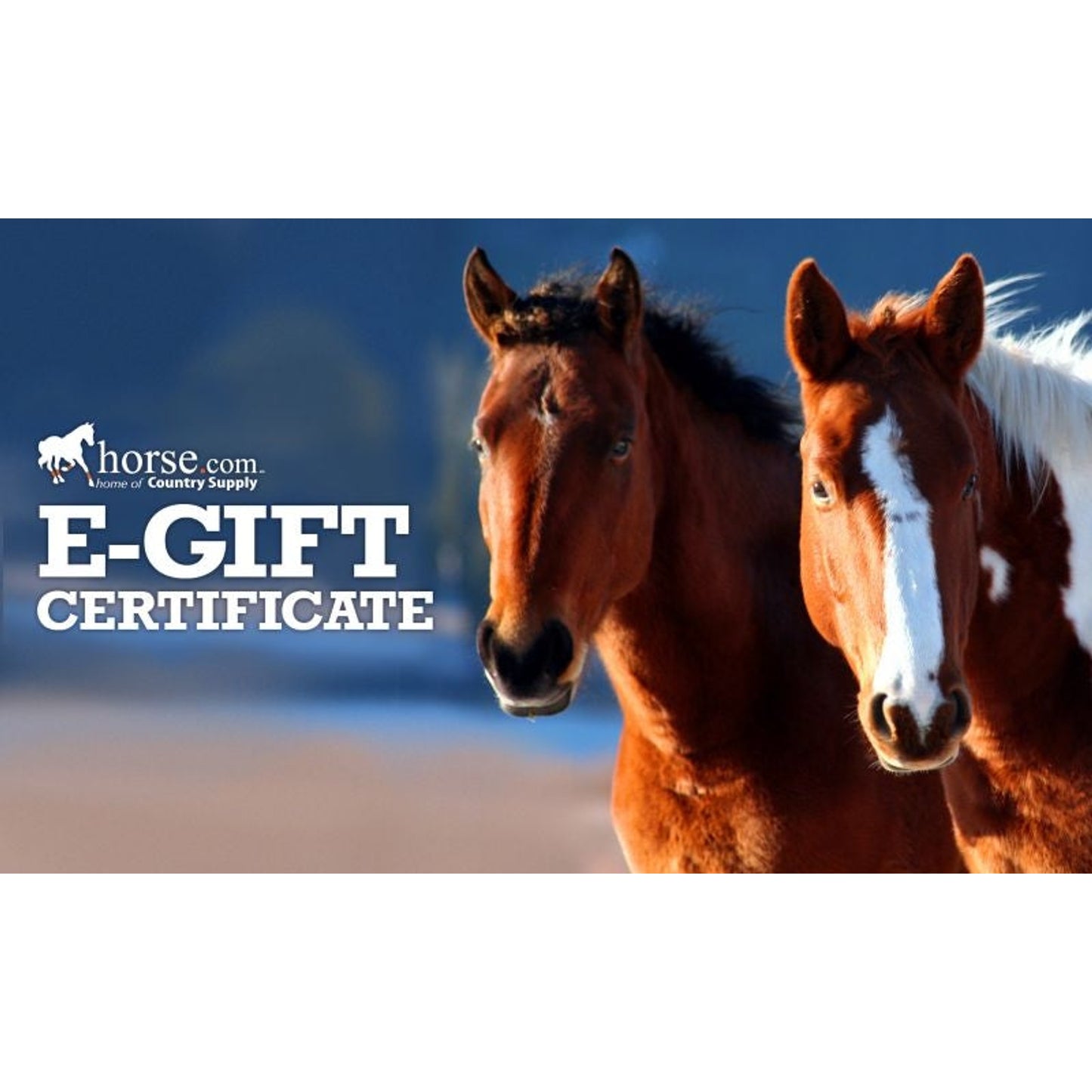 Equestrian Collections $25 Gift Certificate