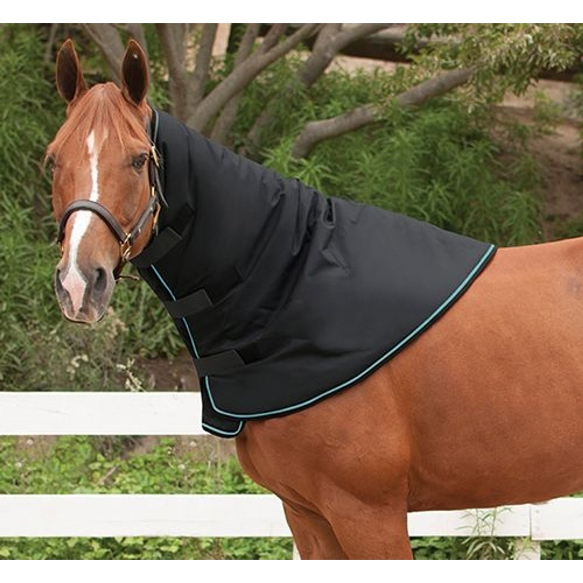 All Around Head & Neck Warmer Medium in Black