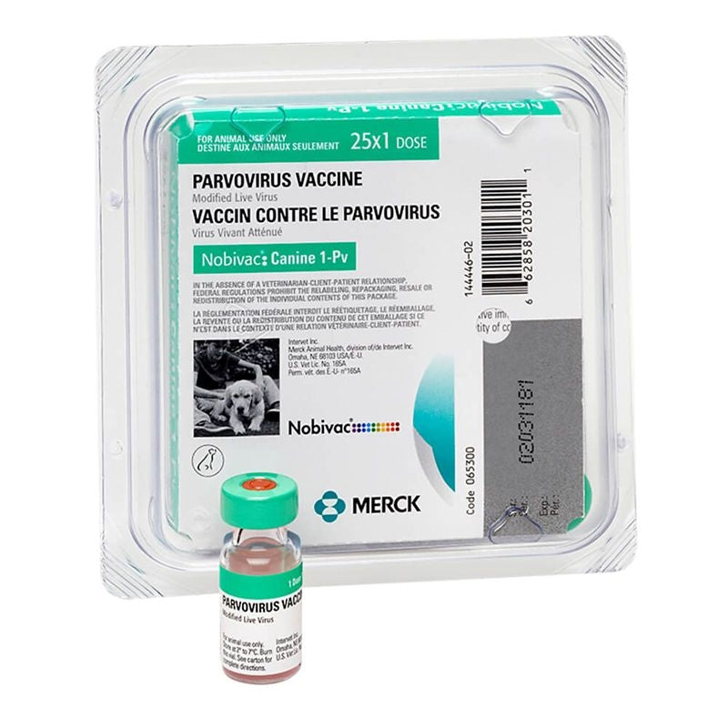 Nobivac 1PV 25x1ml Vials Canine Vaccine