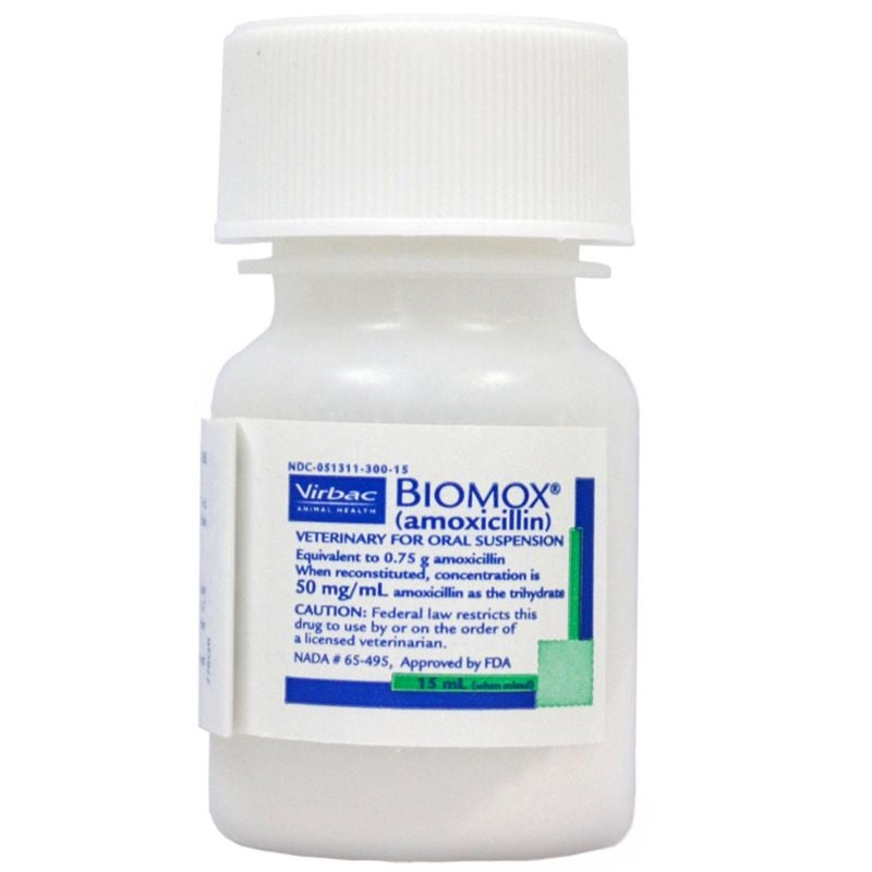 Biomox Suspension 50mg 15ml
