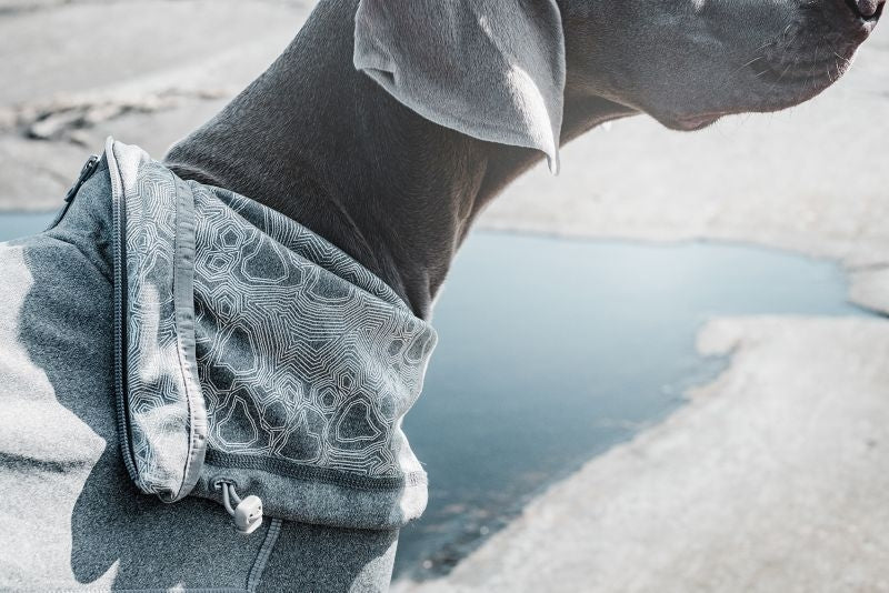 Hurtta Carbon Grey Dog Body Warmer