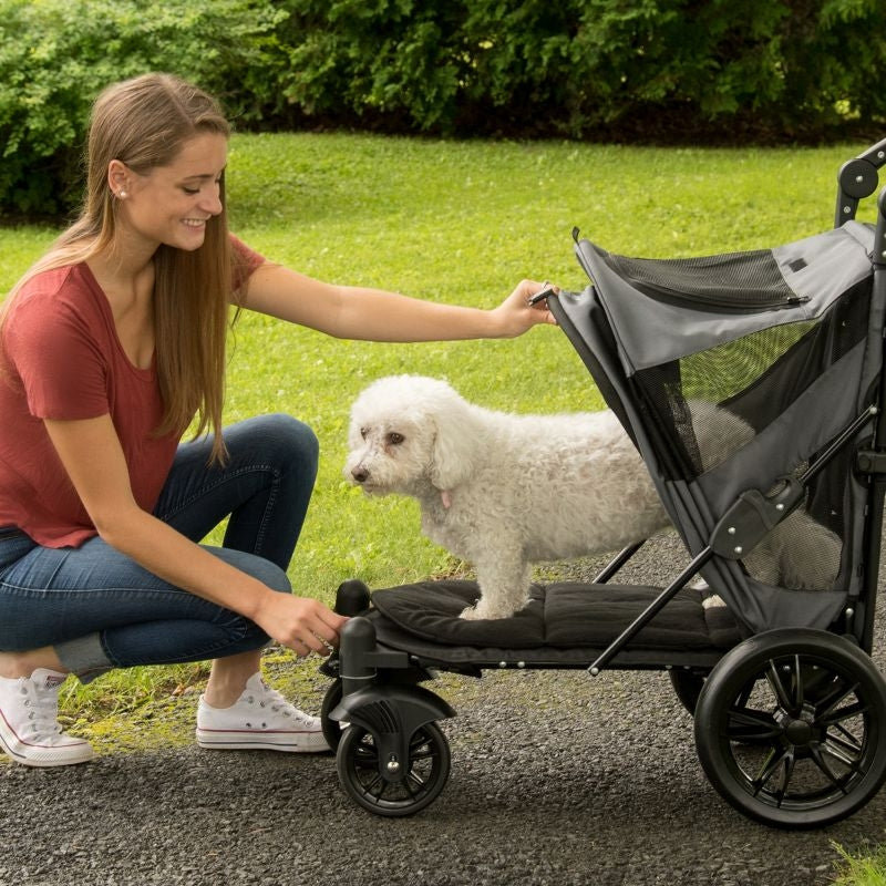 Pet Gear Excursion No Zip Pet Stroller