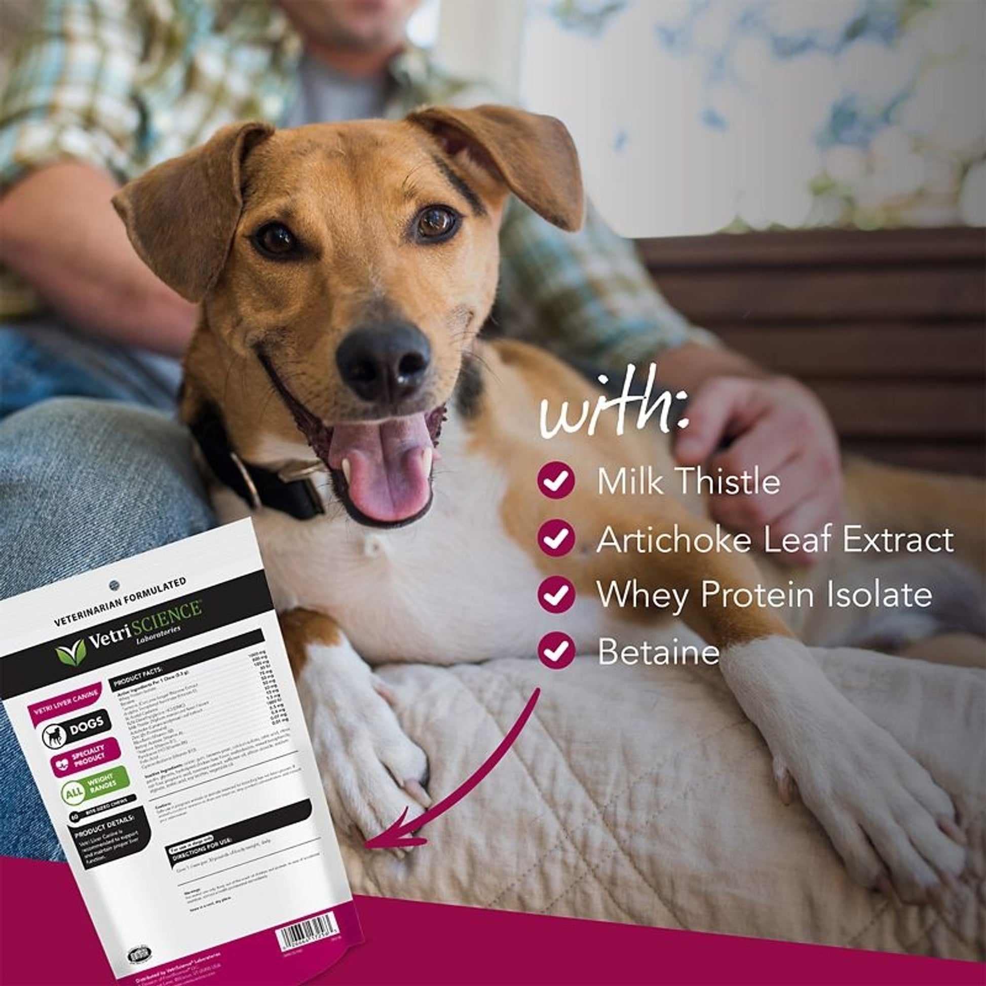 VetriScience Vetri Liver Canine Bite Sized Chew