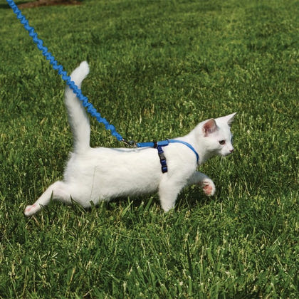 PetSafe Come With Me Kitty Harness