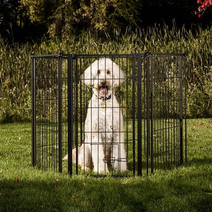 Carlson Pet Outdoor Extra-Tall Super Pet Gate