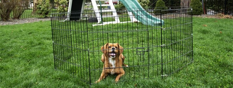 Iconic Pet Eight Panel Portable Pet Wire Pen