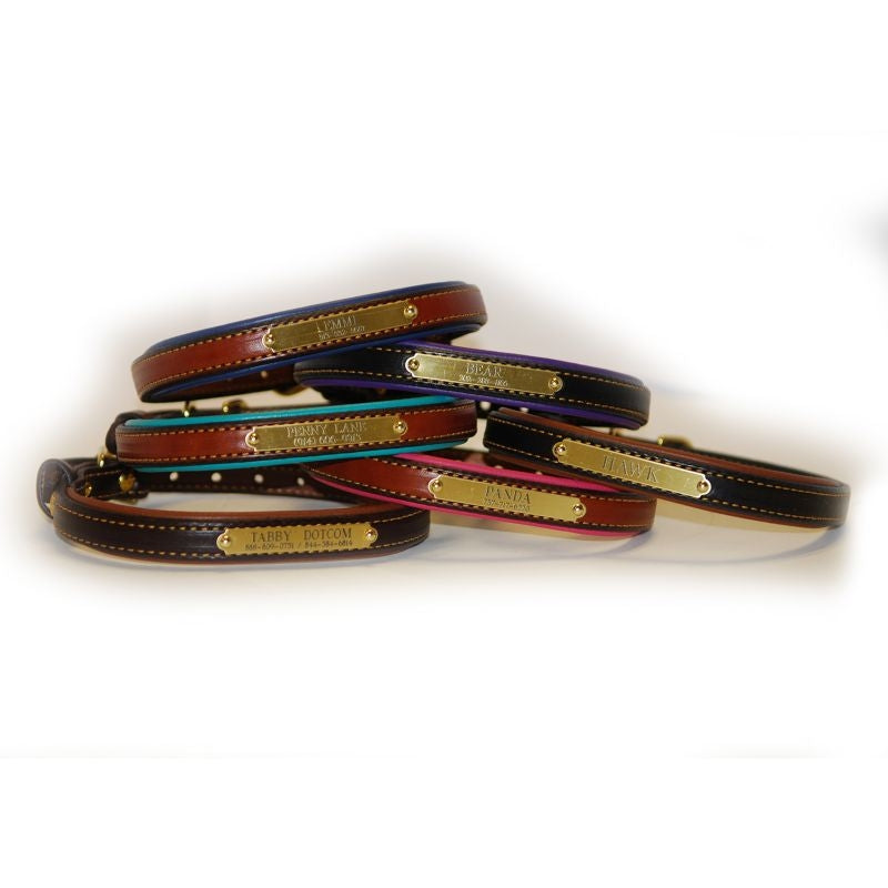 Personalized Padded Leather Dog Collar