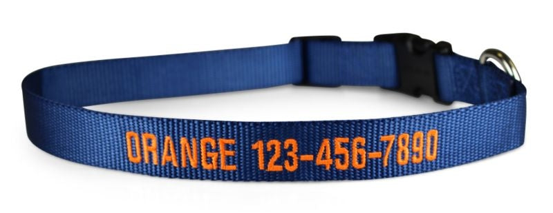 Personalized Midnight Sky Nylon Dog Collar