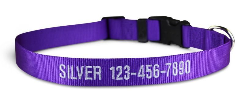 Personalized Purple Nylon Dog Collar