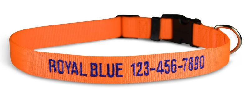 Personalized Neon Orange Dog Collar