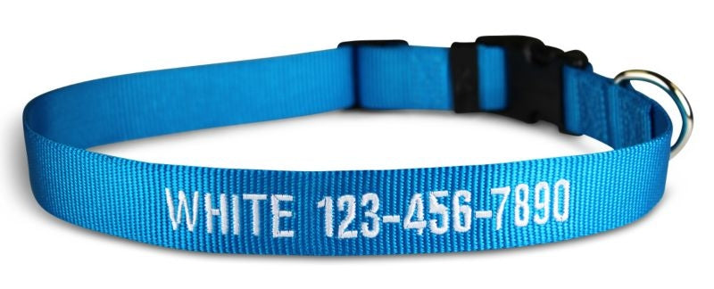 Personalized Hurricane Blue Dog Collar