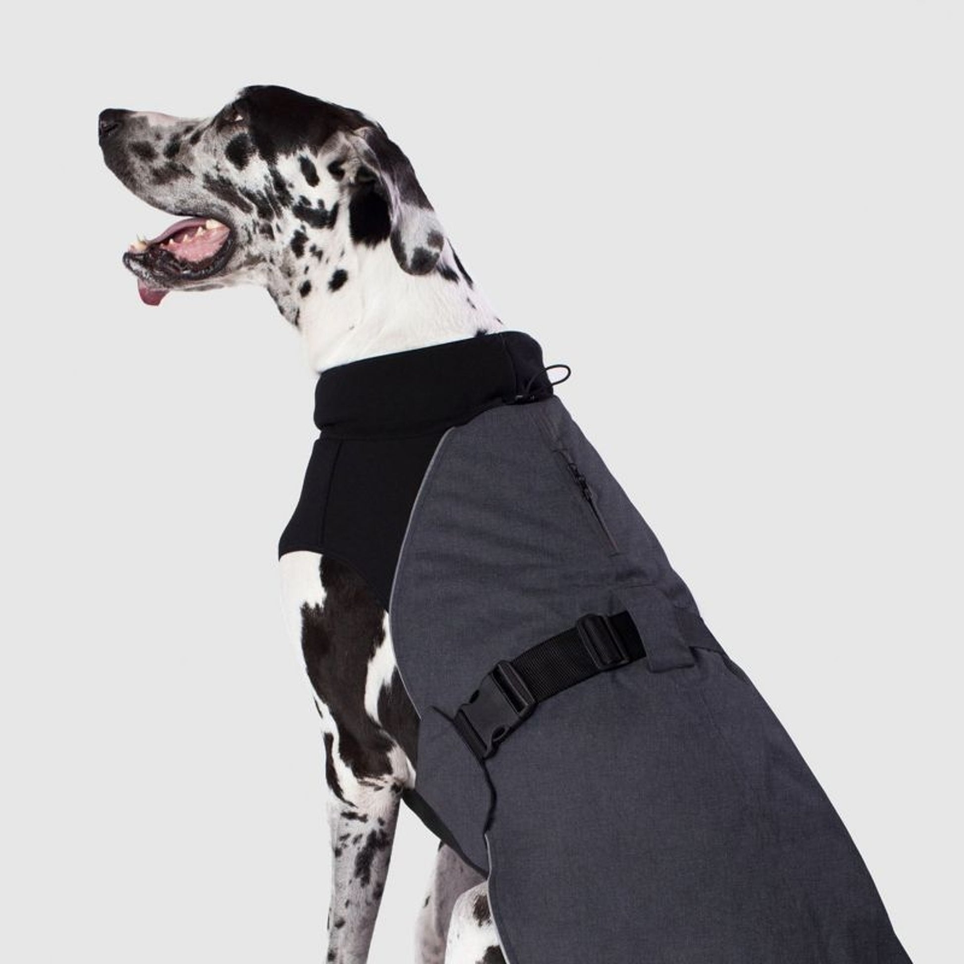 Canada Pooch The Expedition Dog Coat