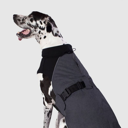 Canada Pooch The Expedition Dog Coat