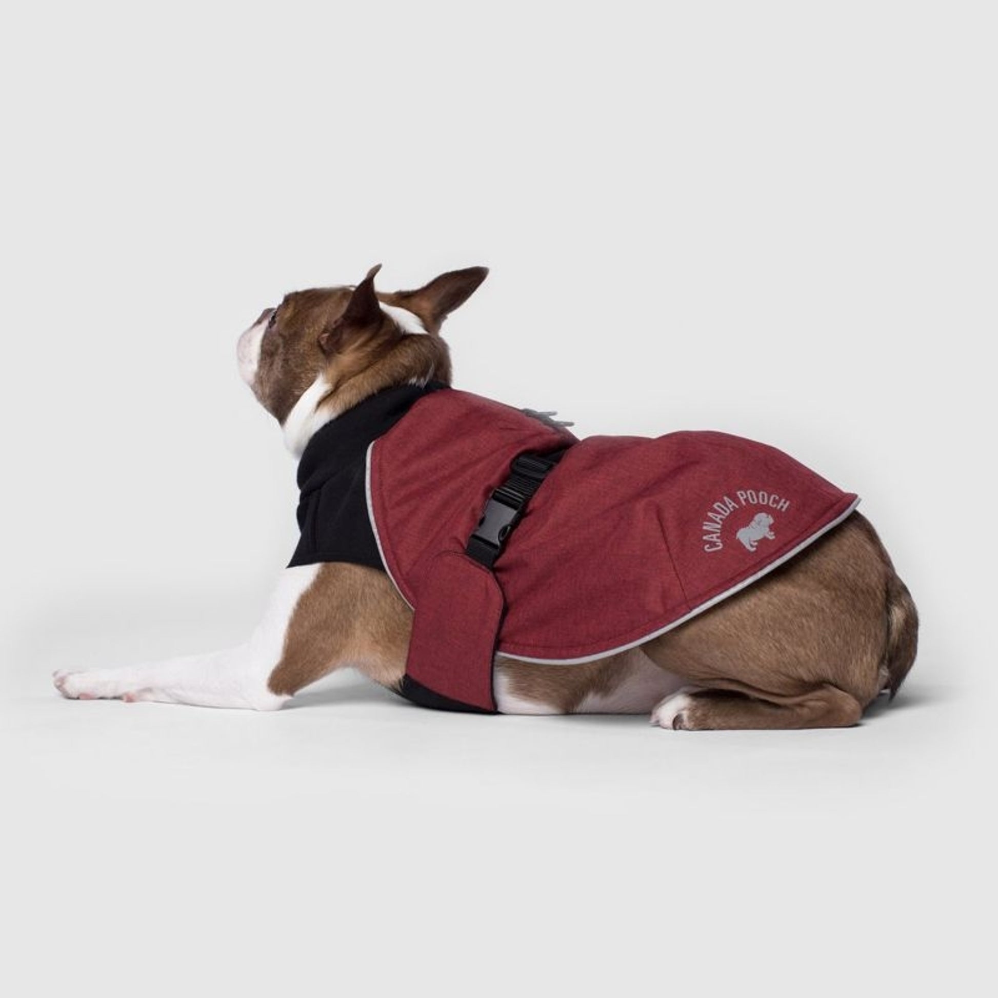 Canada Pooch The Expedition Dog Coat
