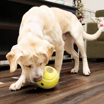 KONG Rewards Tennis Ball Dog Toy