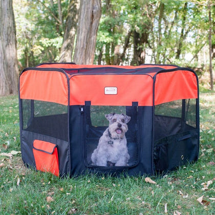 Armarkat Black/Red Portable Pet Playpen