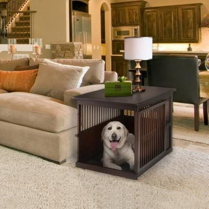 Richell Dark Brown Wooden End Table Crate