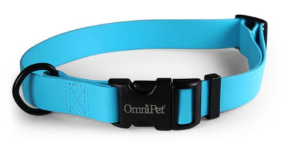 Carnival Waterproof Dog Collar