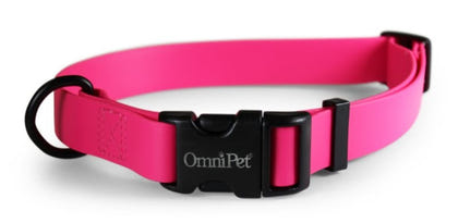 Carnival Waterproof Dog Collar