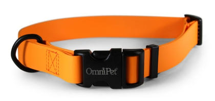 Carnival Waterproof Dog Collar