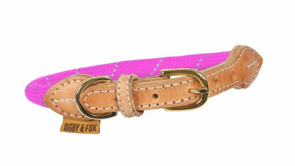 Shires Digby Reflective Dog Collar