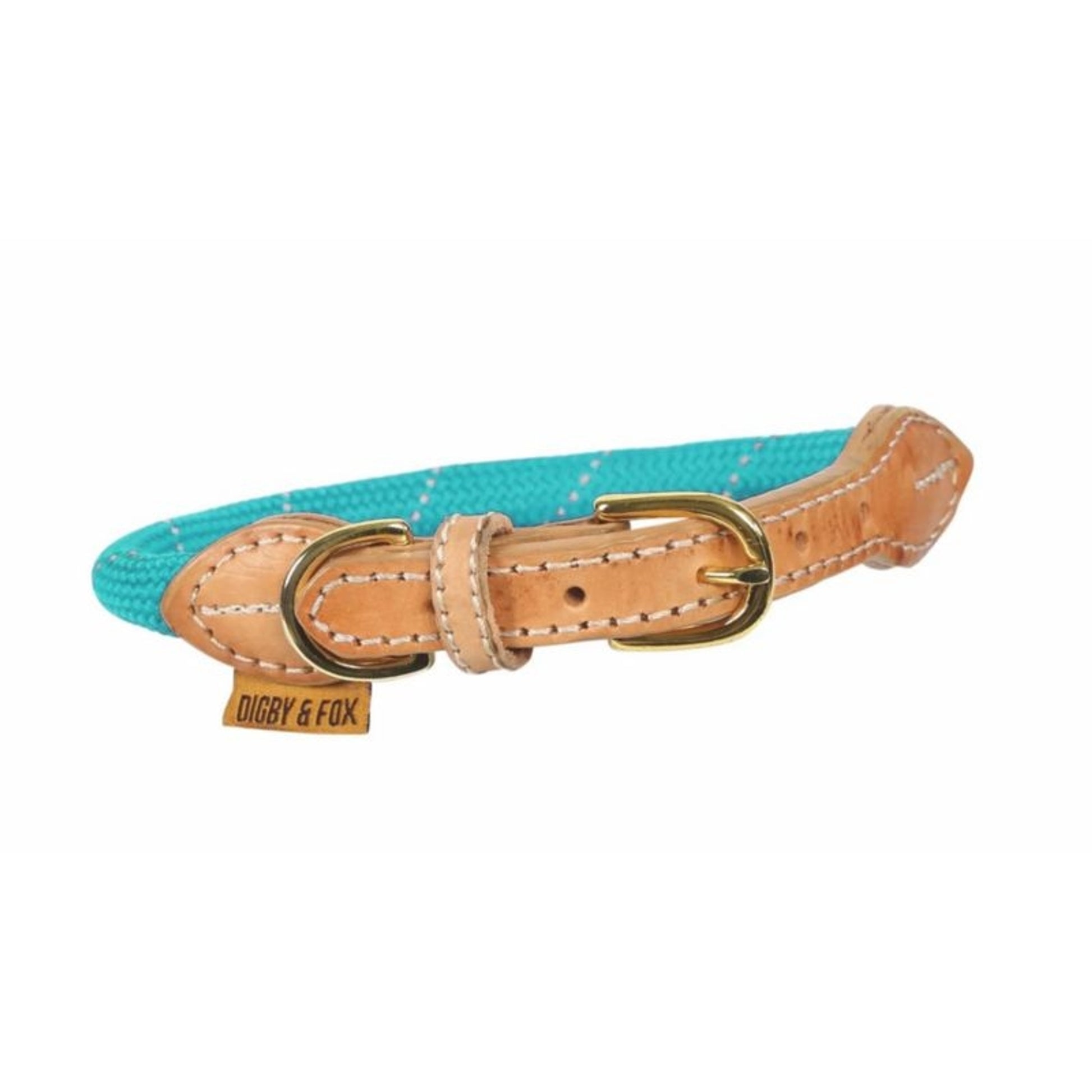Shires Digby Reflective Dog Collar