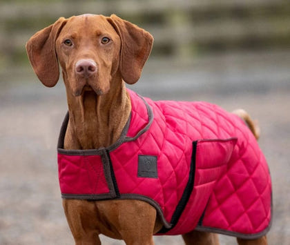 Shires Digby Fox Quilted Dog Coat