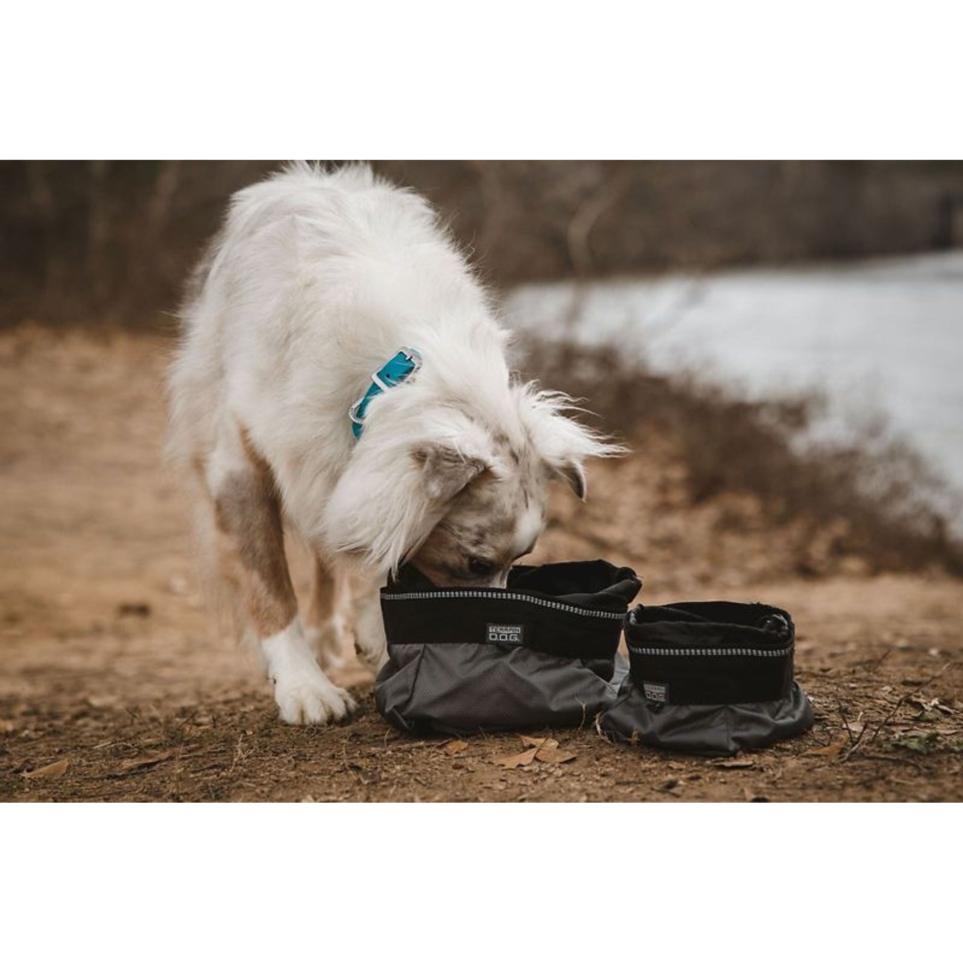 Sm Collapsible Travel Bowl