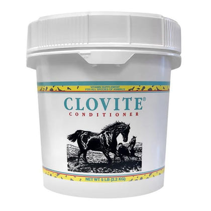 Clovite Conditioner