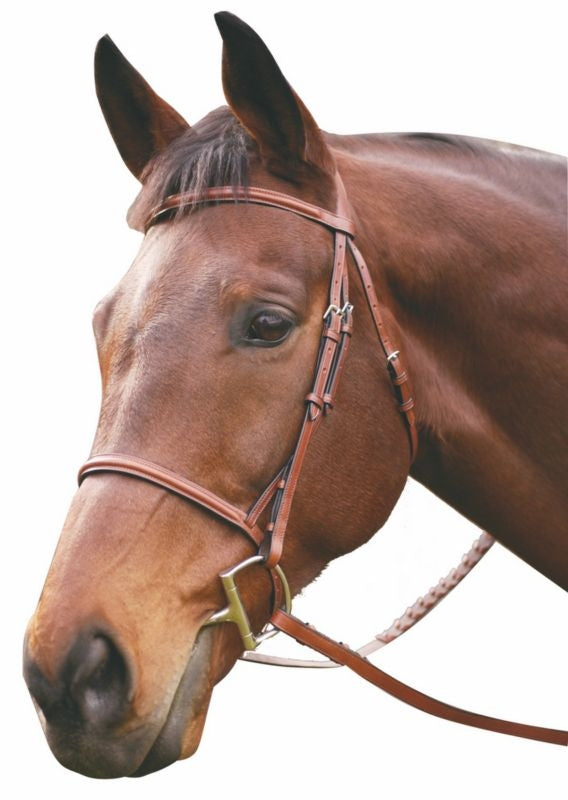 Henri de Rivel Advantage Plain Raised Snaffle Brid