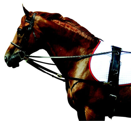 Professional Neoprene Surcingle for Ground Driving