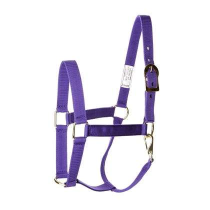 Basic 2-Ply Halter with Snap