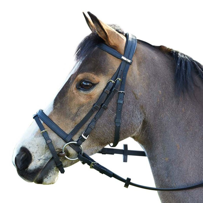 Wintec Bridle with Flash