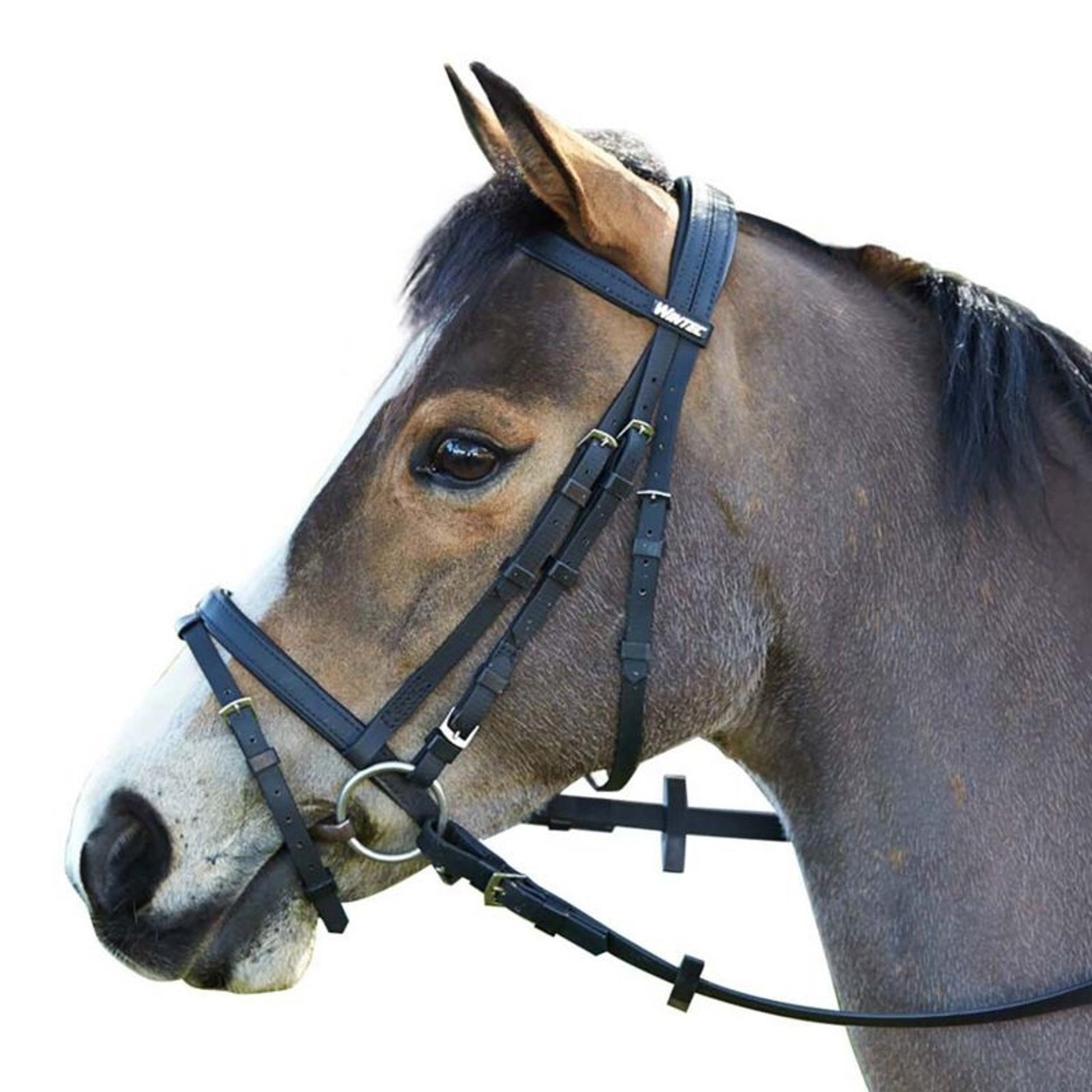 Wintec Bridle with Flash
