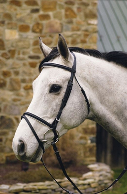 HDR Padded Dress Bridle/Flash