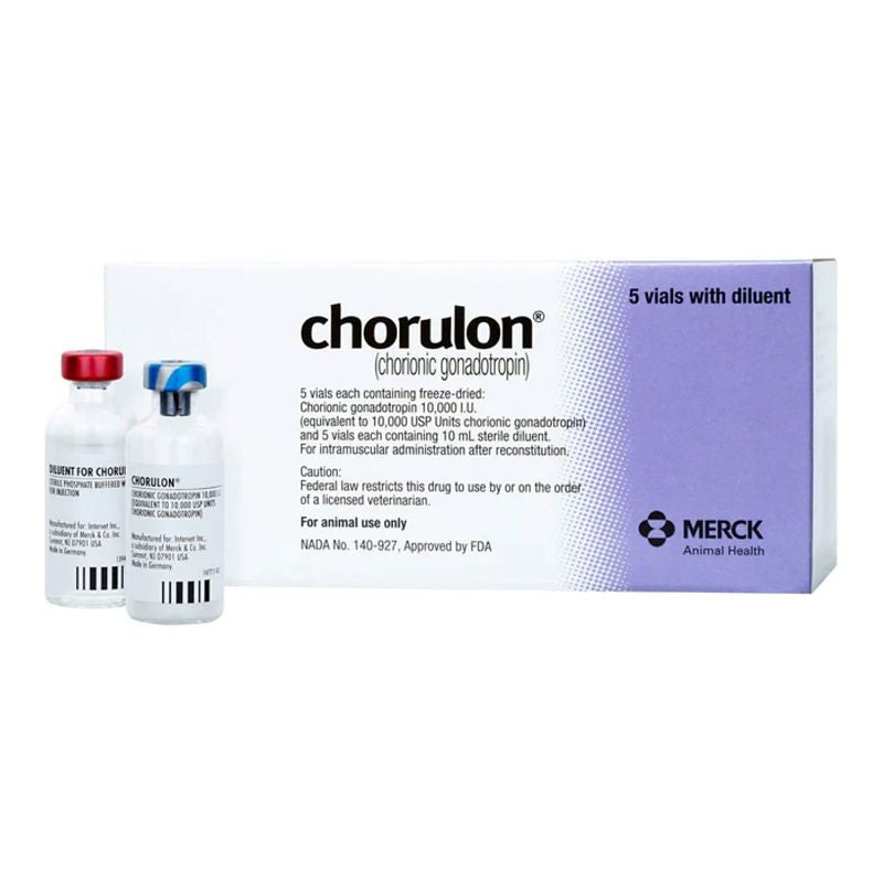 RX Chorulon for Cattle