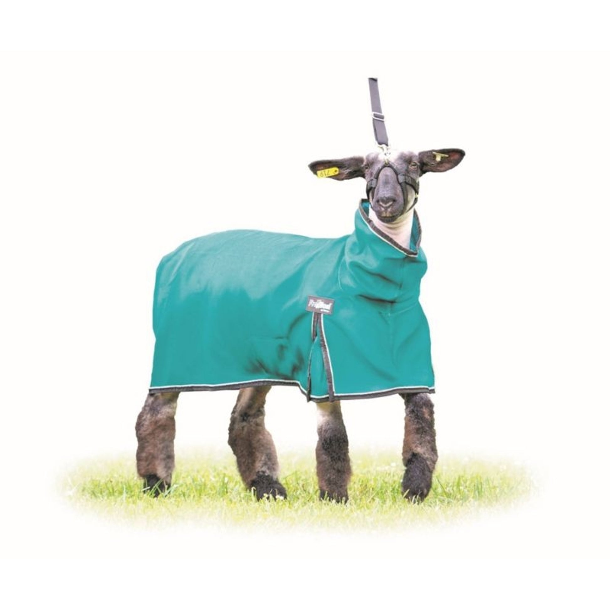 ProCool Mesh Sheep Blanket