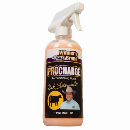 Weaver Procharge Recondition Liquid