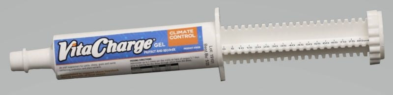Surechamp Climate Gel 80Ml