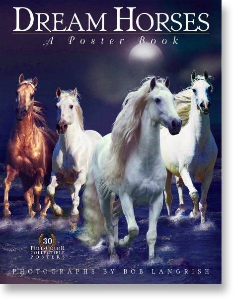 Dream Horses Poster Book