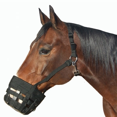 Best Friend Deluxe Grazing Muzzle with Halter