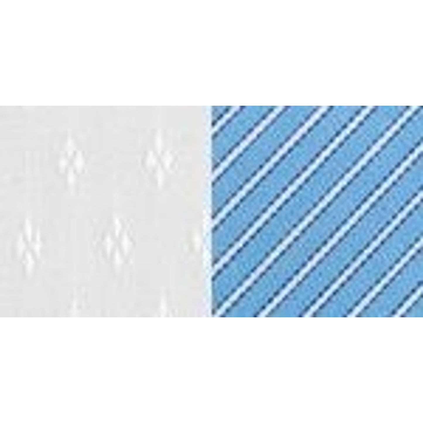 ex00181-whitedblue.jpg