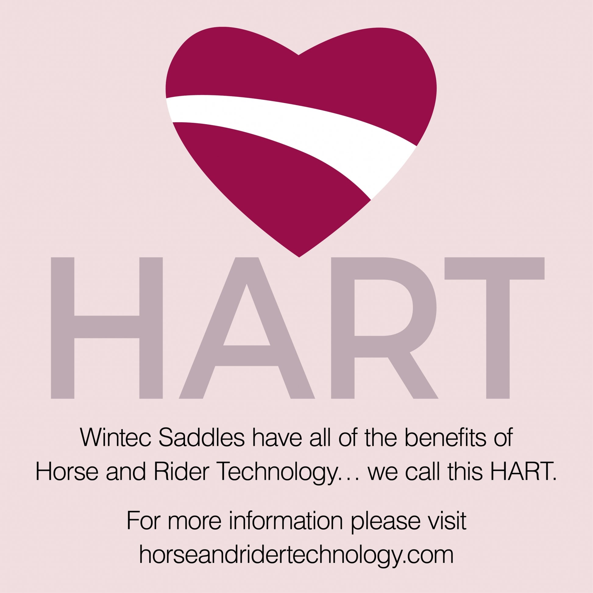 DEMO - Wintec 500 All Purpose HART Saddle