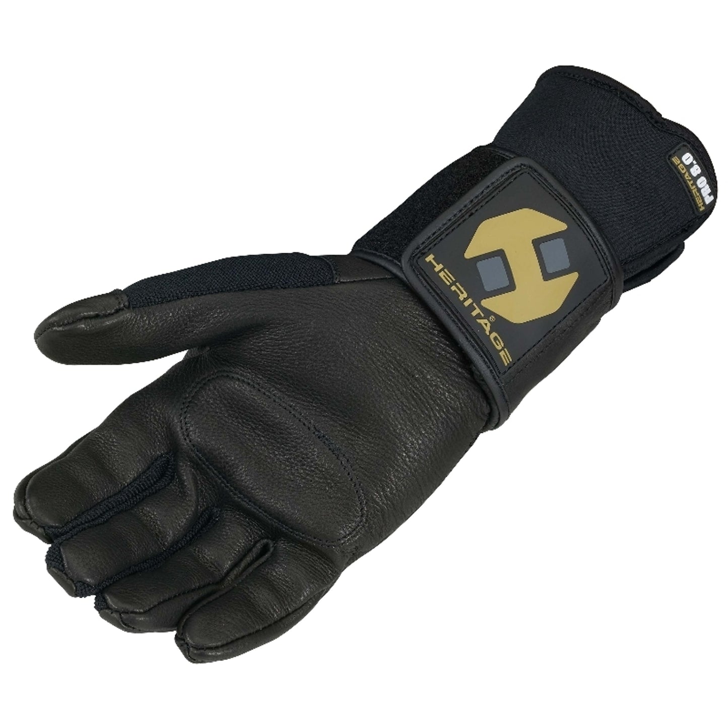 hg331rpalm.jpg