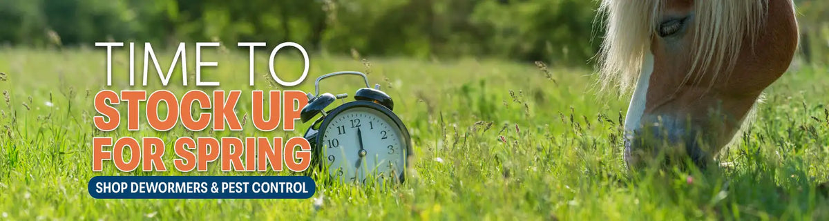 Horse in a grassy field with an alarm clock and promotional text for spring pest control.